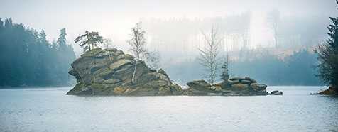 Ottensteiner Stausee - Bäume auf Felseninsel