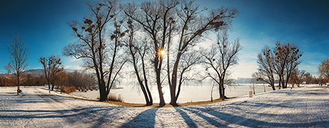 Pleschingersee im Winter