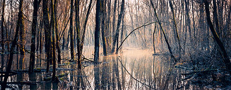 Wilhering - Donau-Überschwemmung