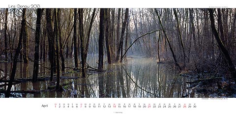 &Uuml;berschwemmung in der AU