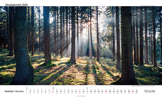 Wald am Lichtenberg (927m)