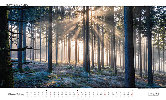 Wald am Lichtenberg (927m)